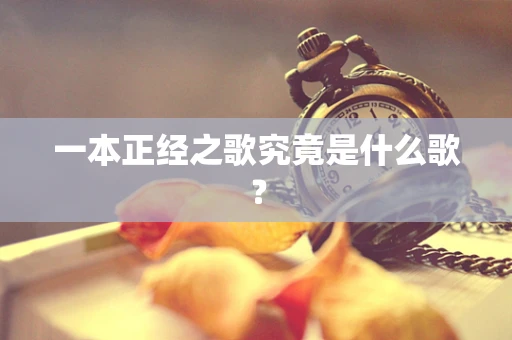 一本正经之歌究竟是什么歌？