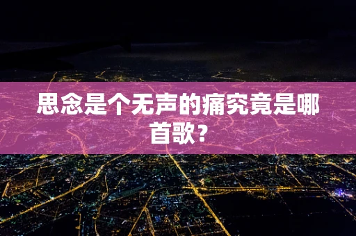 思念是个无声的痛究竟是哪首歌？