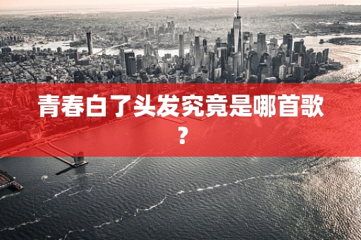 青春白了头发究竟是哪首歌？