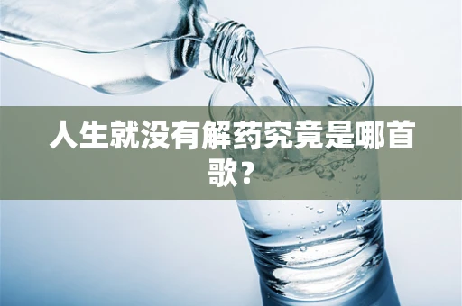 人生就没有解药究竟是哪首歌？