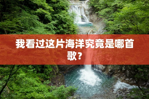 我看过这片海洋究竟是哪首歌？