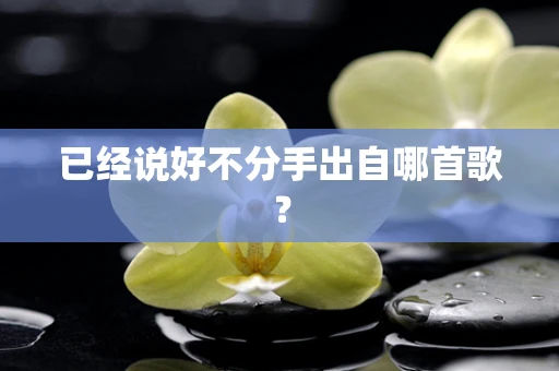 已经说好不分手出自哪首歌？