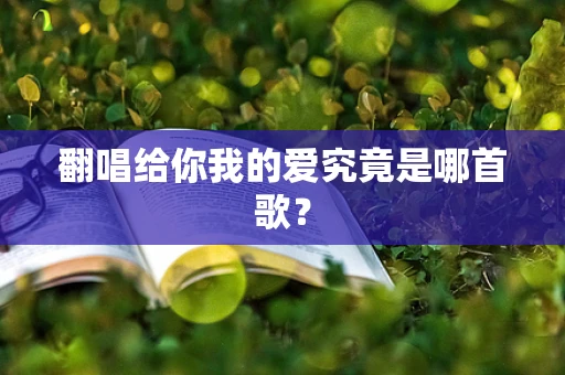 翻唱给你我的爱究竟是哪首歌？