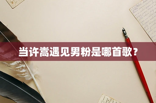 当许嵩遇见男粉是哪首歌？