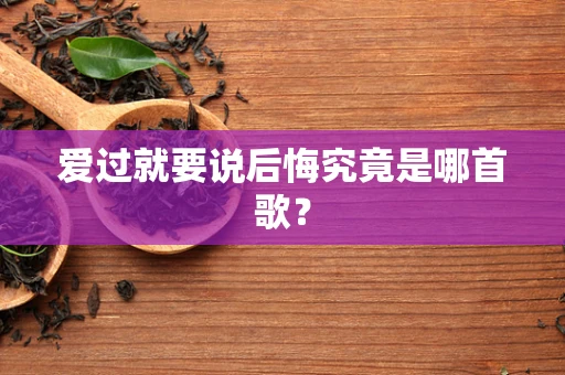 爱过就要说后悔究竟是哪首歌？