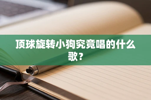 顶球旋转小狗究竟唱的什么歌？