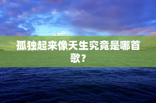 孤独起来像天生究竟是哪首歌？