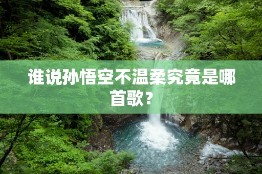 谁说孙悟空不温柔究竟是哪首歌？