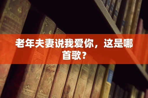 老年夫妻说我爱你，这是哪首歌？