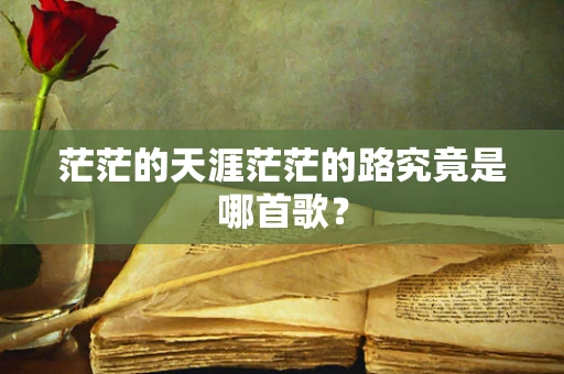 茫茫的天涯茫茫的路究竟是哪首歌？