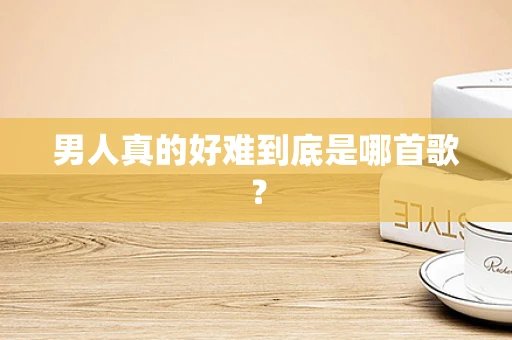 男人真的好难到底是哪首歌？