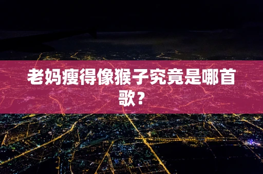 老妈瘦得像猴子究竟是哪首歌？