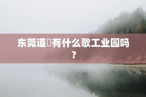 东莞道滘有什么歌工业园吗？