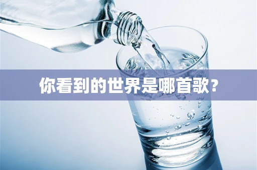 你看到的世界是哪首歌？