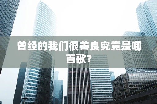 曾经的我们很善良究竟是哪首歌？