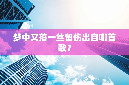 梦中又落一丝留伤出自哪首歌？