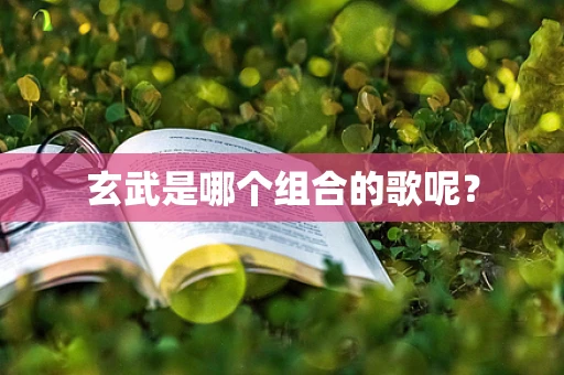玄武是哪个组合的歌呢？