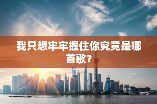 我只想牢牢握住你究竟是哪首歌？