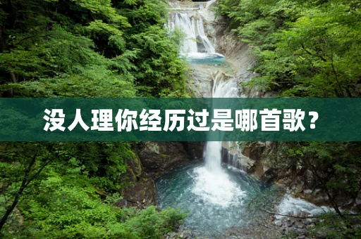 没人理你经历过是哪首歌？