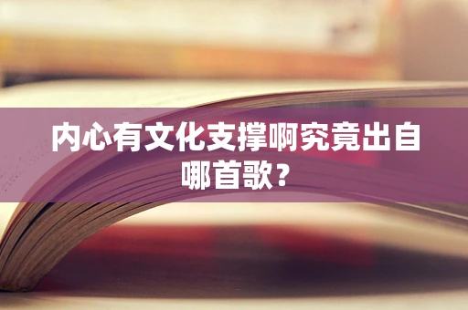 内心有文化支撑啊究竟出自哪首歌？