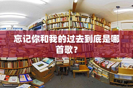 忘记你和我的过去到底是哪首歌？