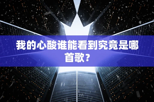 我的心酸谁能看到究竟是哪首歌？