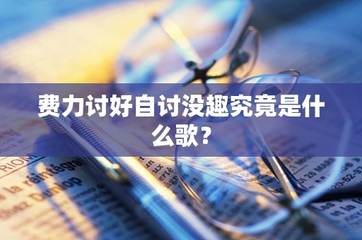 费力讨好自讨没趣究竟是什么歌？