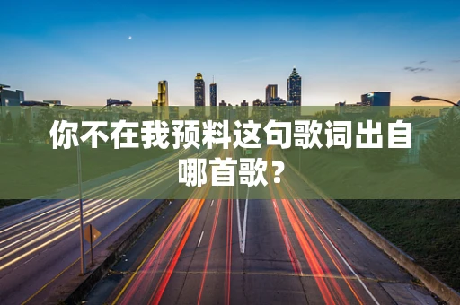 你不在我预料这句歌词出自哪首歌？