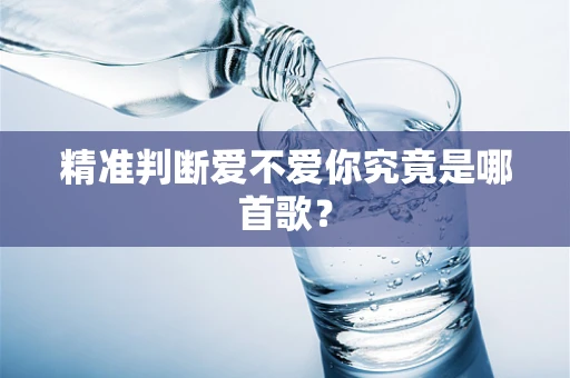 精准判断爱不爱你究竟是哪首歌？