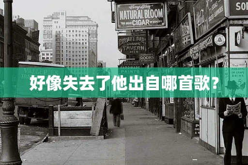 好像失去了他出自哪首歌？