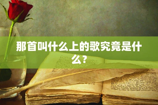 那首叫什么上的歌究竟是什么？