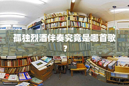孤独烈酒伴奏究竟是哪首歌？