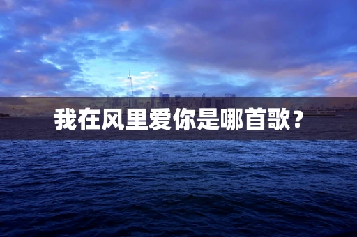 我在风里爱你是哪首歌？