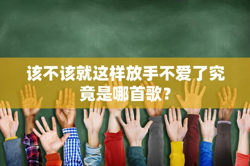 该不该就这样放手不爱了究竟是哪首歌？