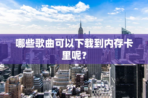 哪些歌曲可以下载到内存卡里呢？