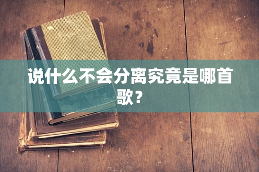 说什么不会分离究竟是哪首歌？