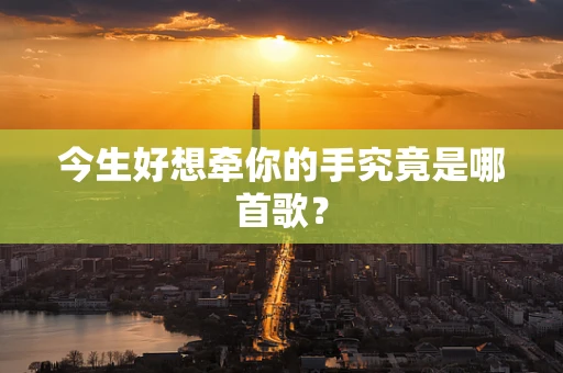 今生好想牵你的手究竟是哪首歌？