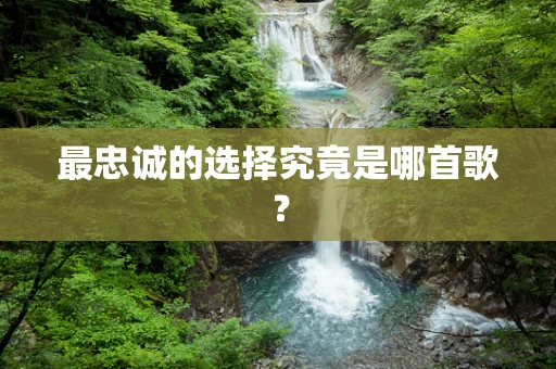 最忠诚的选择究竟是哪首歌？