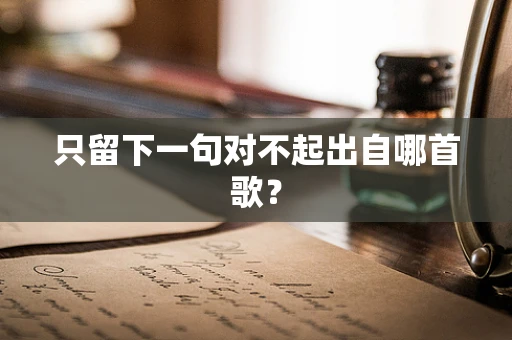 只留下一句对不起出自哪首歌？