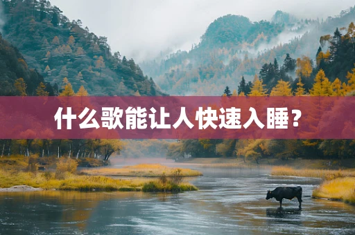 什么歌能让人快速入睡？