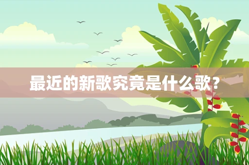 最近的新歌究竟是什么歌？