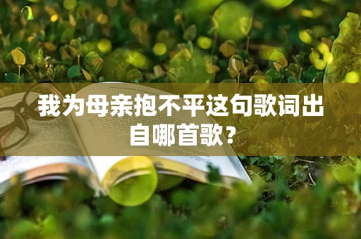 我为母亲抱不平这句歌词出自哪首歌？
