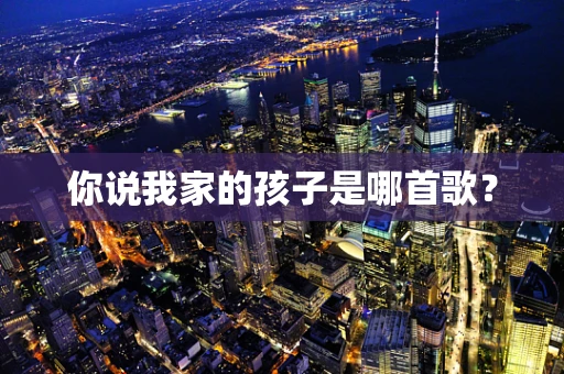 你说我家的孩子是哪首歌？