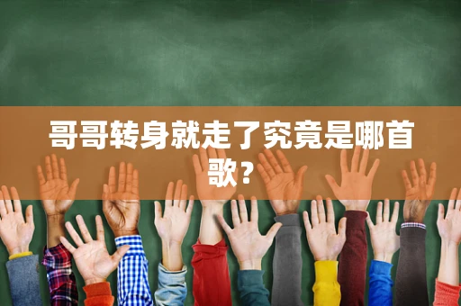 哥哥转身就走了究竟是哪首歌？