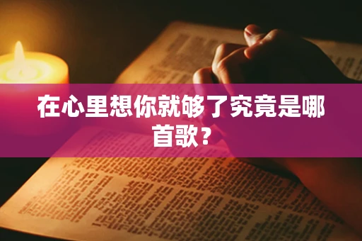 在心里想你就够了究竟是哪首歌？