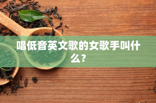 唱低音英文歌的女歌手叫什么？