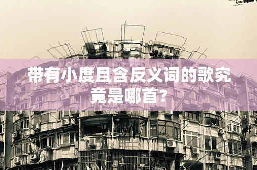 带有小度且含反义词的歌究竟是哪首？