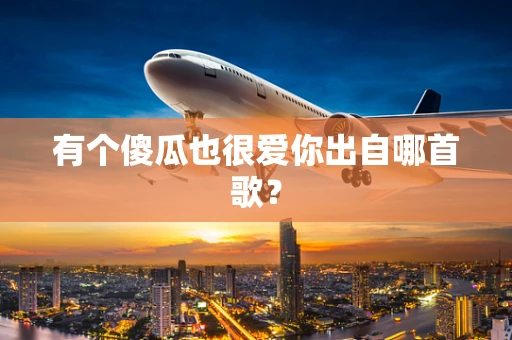 有个傻瓜也很爱你出自哪首歌？
