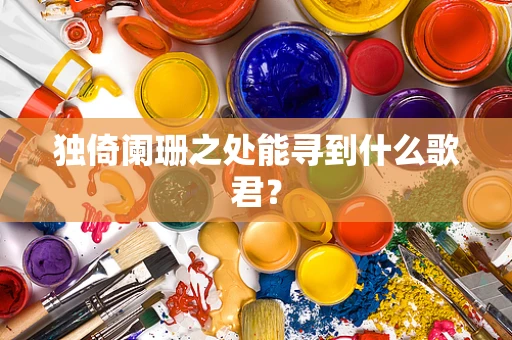 独倚阑珊之处能寻到什么歌君？