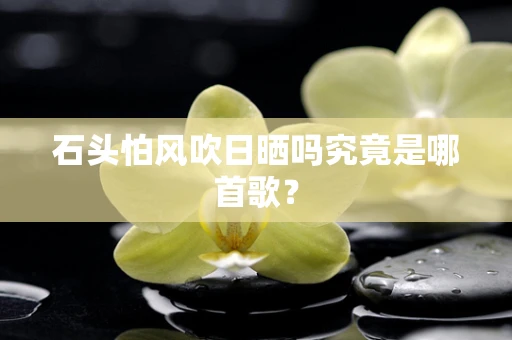 石头怕风吹日晒吗究竟是哪首歌？